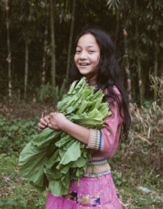 Sikkim, Indien - Verzicht auf Pestizide
